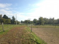 /album/les-ecuries-de-so/img-2987-1-jpg/